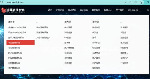 项目管理系统 低代码开发台私有化部署