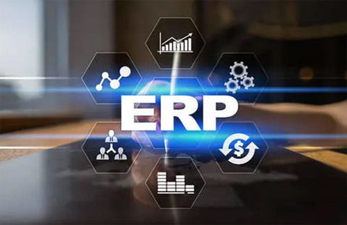ERP系统类型及B2C系统开发概述